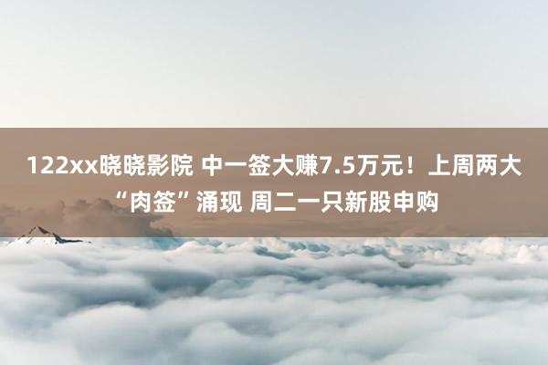 122xx晓晓影院 中一签大赚7.5万元！上周两大“肉签”涌现 周二一只新股申购