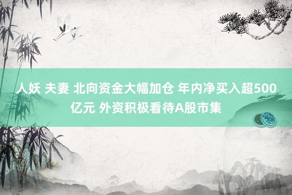 人妖 夫妻 北向资金大幅加仓 年内净买入超500亿元 外资积极看待A股市集