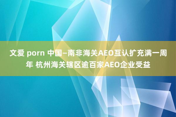 文爱 porn 中国—南非海关AEO互认扩充满一周年 杭州海关辖区逾百家AEO企业受益