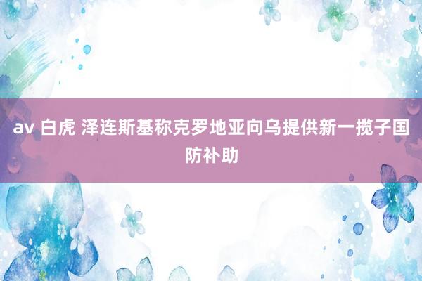 av 白虎 泽连斯基称克罗地亚向乌提供新一揽子国防补助