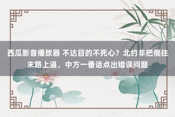 西瓜影音播放器 不达目的不死心？北约非把俄往末路上逼，中方一番话点出错误问题