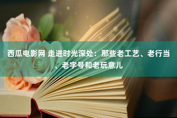 西瓜电影网 走进时光深处：那些老工艺、老行当、老字号和老玩意儿