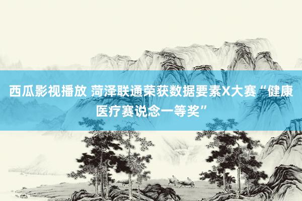 西瓜影视播放 菏泽联通荣获数据要素X大赛“健康医疗赛说念一等奖”