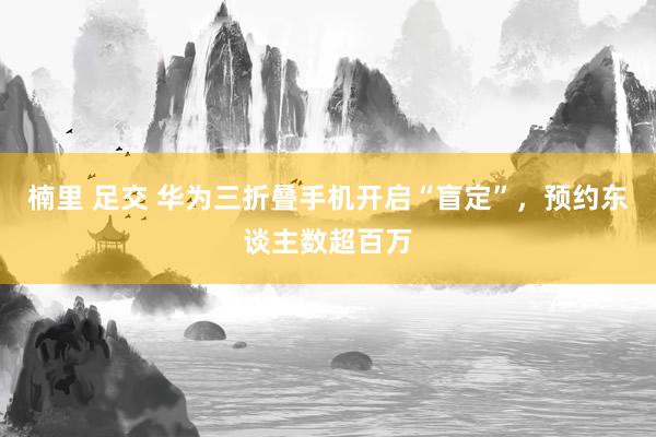 楠里 足交 华为三折叠手机开启“盲定”，预约东谈主数超百万