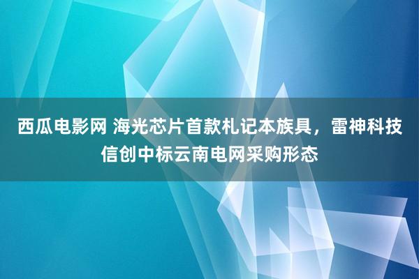 西瓜电影网 海光芯片首款札记本族具，雷神科技信创中标云南电网采购形态