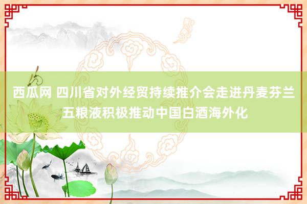 西瓜网 四川省对外经贸持续推介会走进丹麦芬兰 五粮液积极推动中国白酒海外化