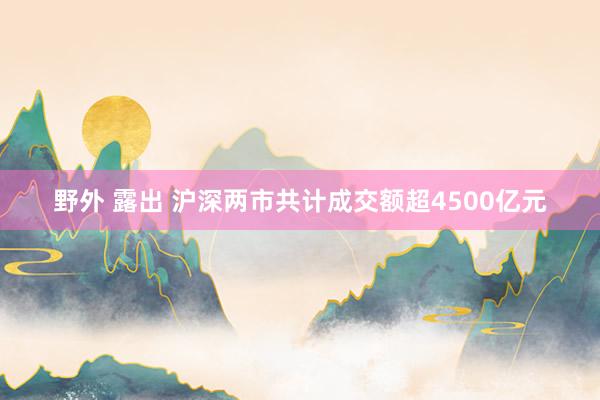 野外 露出 沪深两市共计成交额超4500亿元