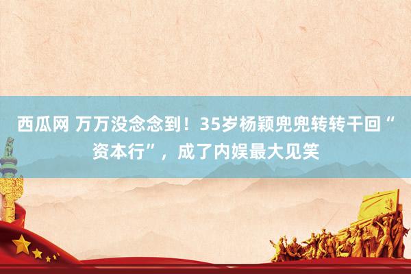 西瓜网 万万没念念到！35岁杨颖兜兜转转干回“资本行”，成了内娱最大见笑