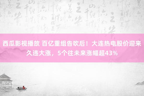 西瓜影视播放 百亿重组告吹后！大连热电股价迎来久违大涨，5个往未来涨幅超43%