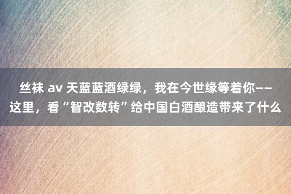 丝袜 av 天蓝蓝酒绿绿，我在今世缘等着你——这里，看“智改数转”给中国白酒酿造带来了什么