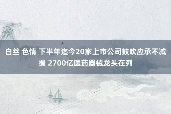 白丝 色情 下半年迄今20家上市公司鼓吹应承不减握 2700亿医药器械龙头在列