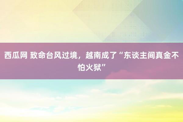 西瓜网 致命台风过境，越南成了“东谈主间真金不怕火狱”