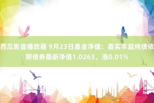 西瓜影音播放器 9月23日基金净值：嘉实丰益纯债依期债券最新净值1.0263，涨0.01%