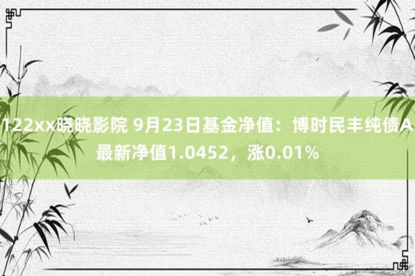 122xx晓晓影院 9月23日基金净值：博时民丰纯债A最新净值1.0452，涨0.01%