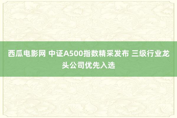 西瓜电影网 中证A500指数精采发布 三级行业龙头公司优先入选