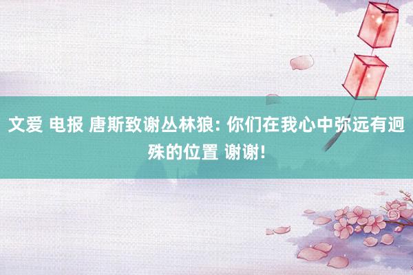 文爱 电报 唐斯致谢丛林狼: 你们在我心中弥远有迥殊的位置 谢谢!