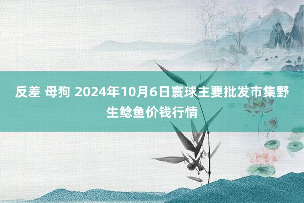 反差 母狗 2024年10月6日寰球主要批发市集野生鲶鱼价钱行情