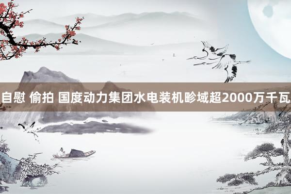 自慰 偷拍 国度动力集团水电装机畛域超2000万千瓦