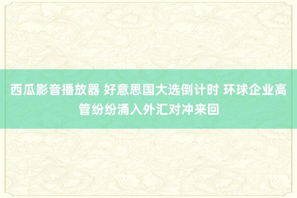 西瓜影音播放器 好意思国大选倒计时 环球企业高管纷纷涌入外汇对冲来回