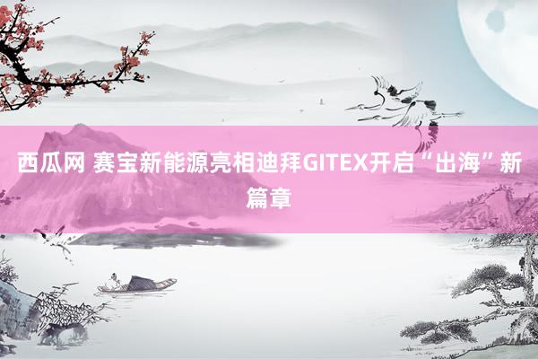 西瓜网 赛宝新能源亮相迪拜GITEX开启“出海”新篇章