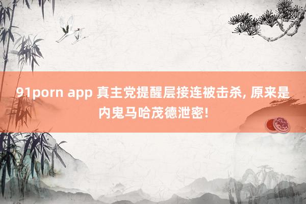 91porn app 真主党提醒层接连被击杀， 原来是内鬼马哈茂德泄密!