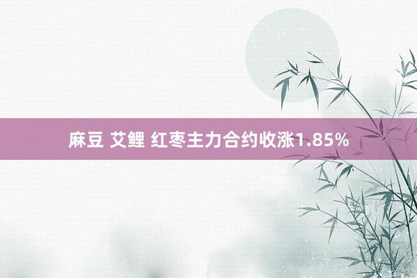 麻豆 艾鲤 红枣主力合约收涨1.85%