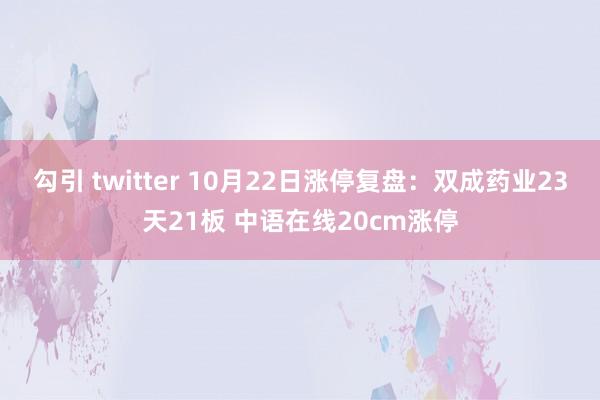 勾引 twitter 10月22日涨停复盘：双成药业23天21板 中语在线20cm涨停