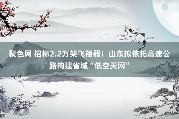 聚色网 招标2.2万架飞翔器！山东拟依托高速公路构建省域“低空天网”