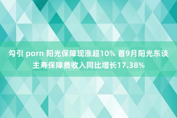 勾引 porn 阳光保障现涨超10% 首9月阳光东谈主寿保障费收入同比增长17.38%