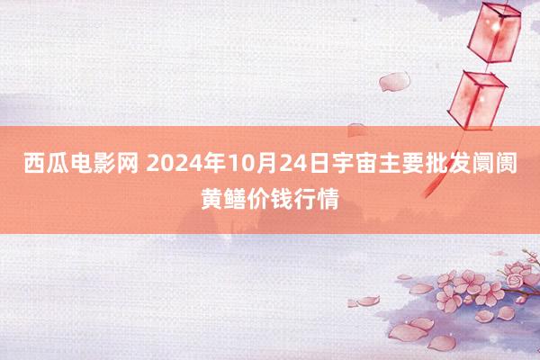 西瓜电影网 2024年10月24日宇宙主要批发阛阓黄鳝价钱行情