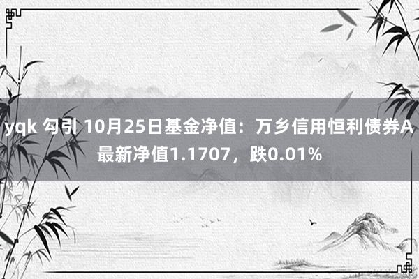 yqk 勾引 10月25日基金净值：万乡信用恒利债券A最新净值1.1707，跌0.01%