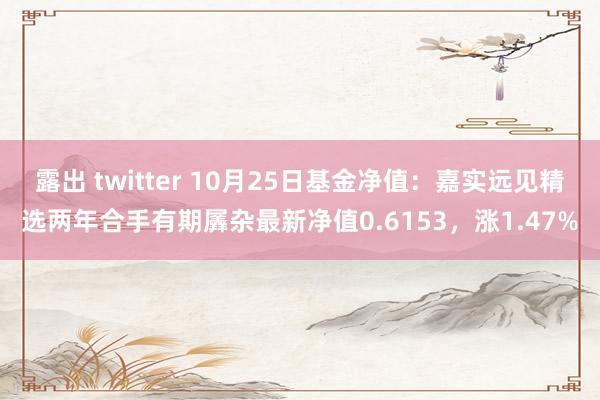 露出 twitter 10月25日基金净值：嘉实远见精选两年合手有期羼杂最新净值0.6153，涨1.47%