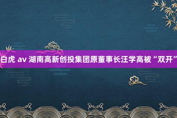 白虎 av 湖南高新创投集团原董事长汪学高被“双开”