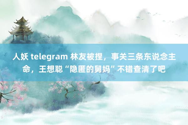 人妖 telegram 林友被捏，事关三条东说念主命，王想聪“隐匿的舅妈”不错查清了吧