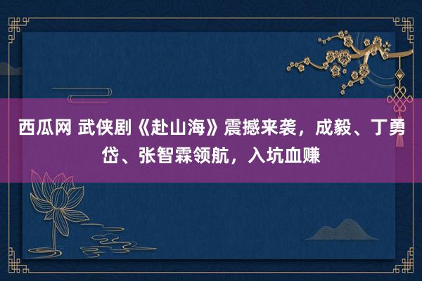 西瓜网 武侠剧《赴山海》震撼来袭，成毅、丁勇岱、张智霖领航，入坑血赚