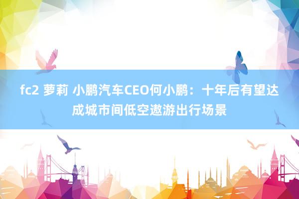 fc2 萝莉 小鹏汽车CEO何小鹏：十年后有望达成城市间低空遨游出行场景