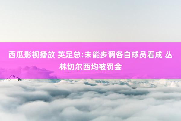 西瓜影视播放 英足总:未能步调各自球员看成 丛林切尔西均被罚金