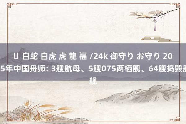 ✨白蛇 白虎 虎 龍 福 /24k 御守り お守り 2025年中国舟师: 3艘航母、5艘075两栖舰、64艘捣毁舰