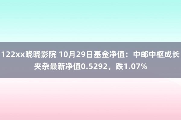 122xx晓晓影院 10月29日基金净值：中邮中枢成长夹杂最新净值0.5292，跌1.07%