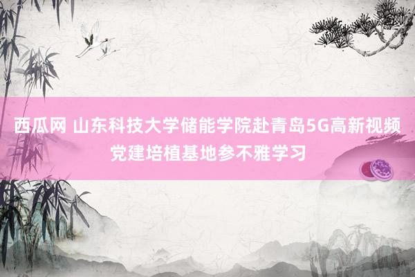 西瓜网 山东科技大学储能学院赴青岛5G高新视频党建培植基地参不雅学习