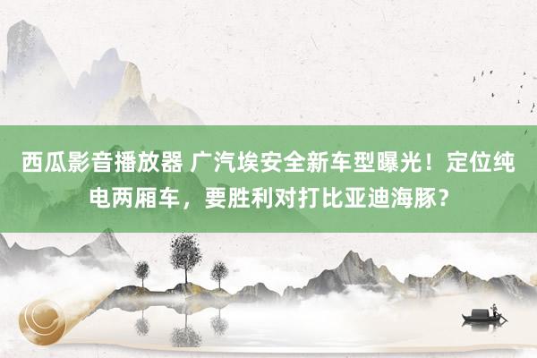 西瓜影音播放器 广汽埃安全新车型曝光！定位纯电两厢车，要胜利对打比亚迪海豚？