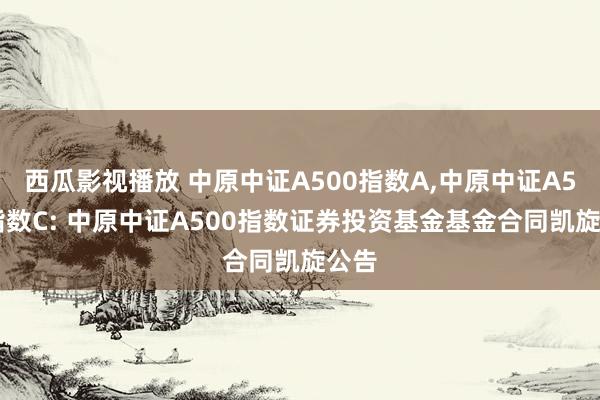 西瓜影视播放 中原中证A500指数A，中原中证A500指数C: 中原中证A500指数证券投资基金基金合同凯旋公告