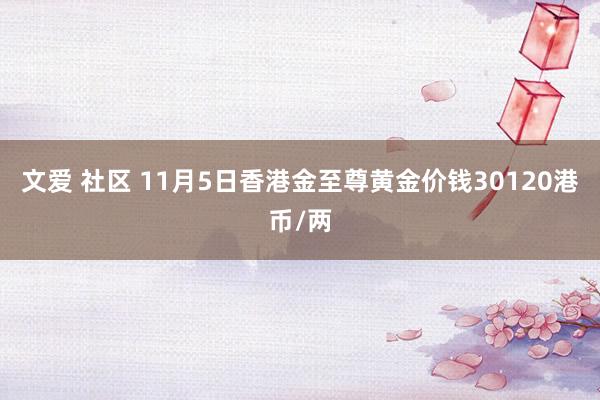 文爱 社区 11月5日香港金至尊黄金价钱30120港币/两